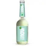 Neumarkter Lammsbräu Now Fresh Lemon 10x0,33L