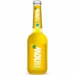 Neumarkter Lammsbräu Now Sunny Orange 10x0,33L