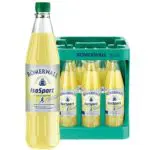 Römerwall Iso Sport 12x0,75L