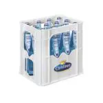 Christinen Bio Spritzig 12x0,75L