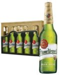 Pilsner Urquell 20x0,5L