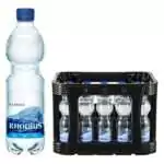 Rhodius Classic 20x0,5L