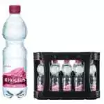 Rhodius Naturell 20x0,5L