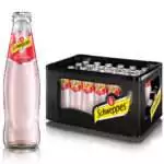 Schweppes Russian Wild Berry 24x0,2L