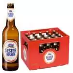 Sester Kölsch 20x0,5L