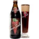 Krug Bräu Gaas-Seidla 20x0.5l